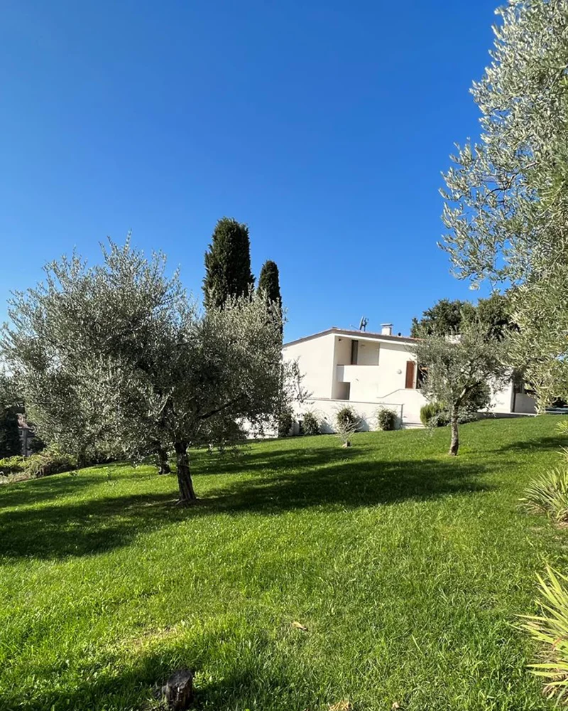 Anwesen in Italien mit Weinreben und Olivenbäumen zu verkaufen