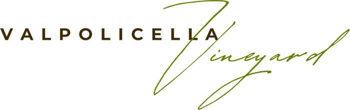Azienda vitivinicola in Veneto in vendita da privato